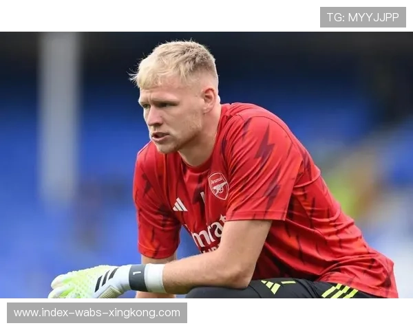 阿森纳拉姆斯代尔超强反应扑救成为关键一幕 阿森纳拉姆斯代尔超强反应扑救成为关键一幕