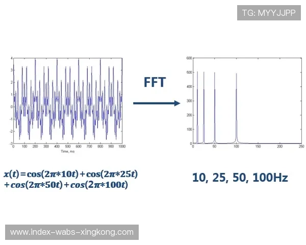 利兹依靠速度打出一波又一波冲击：品牌与速度共振的成长之路
